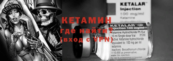 крисы Няндома