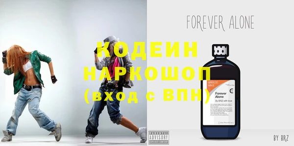 крисы Няндома