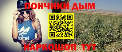кокс Донской