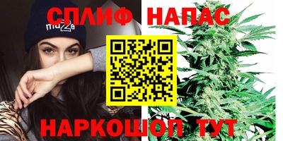 наркотики Берёзовский