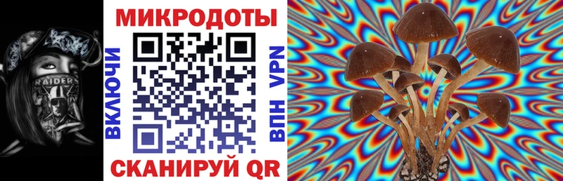 Галлюциногенные грибы Magic Shrooms магазин блэк спрут сайт Тосно