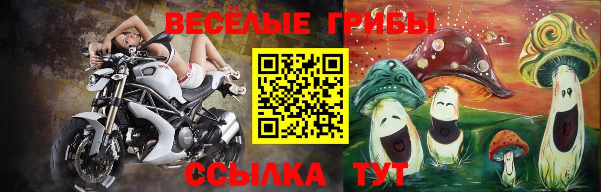 наркошоп  Вход с VPN  Тосно  Псилоцибиновые грибы мухоморы 