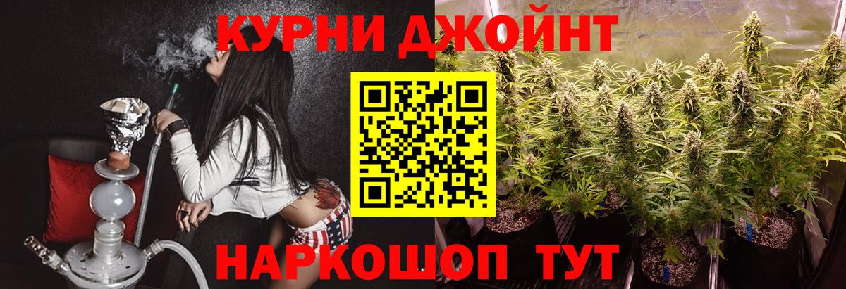 Бошки Шишки семена  Тосно  Канабис Ganja  Марихуана OG Kush  Каннабис сатива 